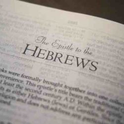 Hebrews warnings testament