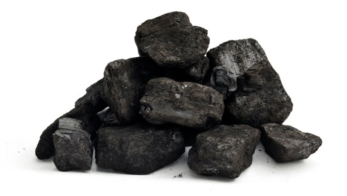 Coal everything need know